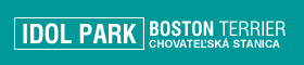 IDOL PARK - Boston Terrier
